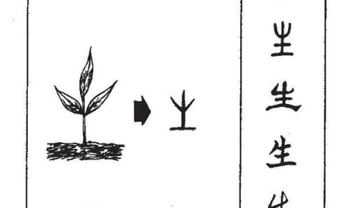 生燕麦片的吃法大全集